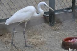 Hanoi Zoological Gardens