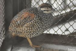 Hanoi Zoological Gardens