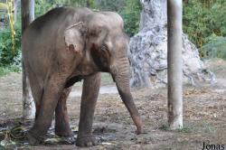 Lao Zoo