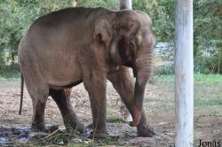 Lao Zoo