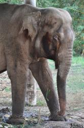 Lao Zoo