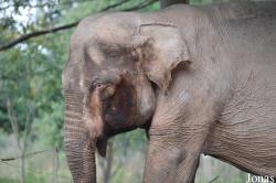 Lao Zoo