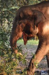 Lao Zoo