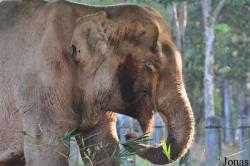 Lao Zoo