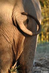 Lao Zoo