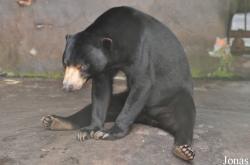 Lao Zoo
