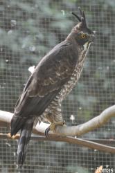 Lao Zoo