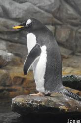 Aquazoo-Löbbecke Museum Düsseldorf