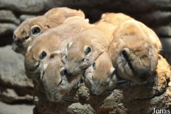Aquazoo-Löbbecke Museum Düsseldorf