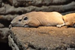 Aquazoo-Löbbecke Museum Düsseldorf