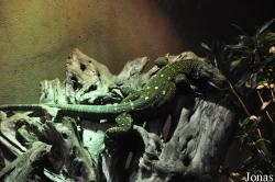 Aquazoo-Löbbecke Museum Düsseldorf