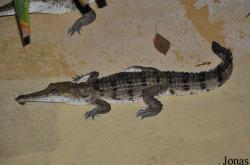 Aquazoo-Löbbecke Museum Düsseldorf