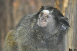 Aqua Zoo Friesland