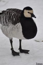 Aqua Zoo Friesland