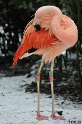 Dierenpark Wissel
