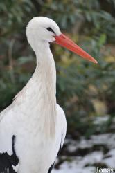 Dierenpark Wissel