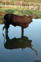 Olmense Zoo