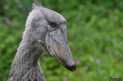 Zoologischer Garten Zürich