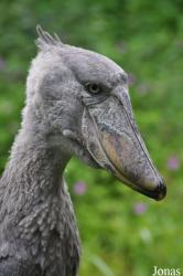 Zoologischer Garten Zürich