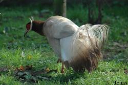 Olmense Zoo