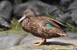 Zoologischer Garten Zürich