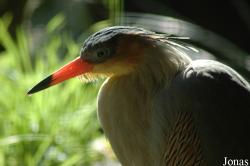 Olmense Zoo