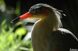Olmense Zoo