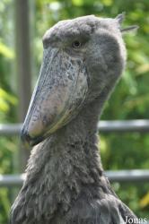 Zoologischer Garten Zürich