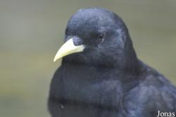 Tierpark Goldau