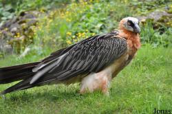 Tierpark Goldau