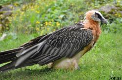 Tierpark Goldau