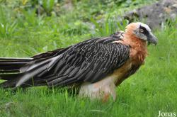 Tierpark Goldau