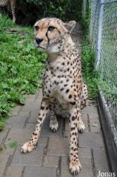 Erlebniszoo Eichberg