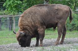 Wildpark Bruderhaus