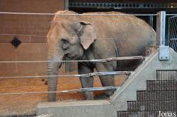 Belfast Zoological Gardens