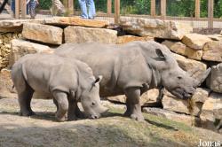 Dublin Zoo