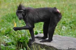 Dublin Zoo