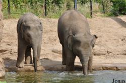 Dublin Zoo