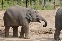 Dublin Zoo