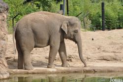 Dublin Zoo