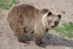 Skandinavisk Dyrepark