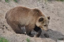 Skandinavisk Dyrepark