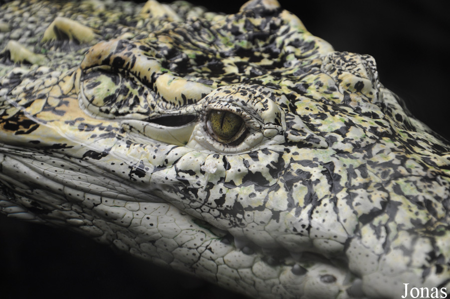 Randers Regnskov Tropical Zoo