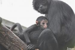 Aalborg Zoo