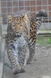 Skærup Zoo