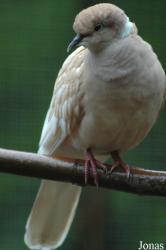 Zoo Kaiserslautern