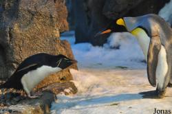 Odense Zoo