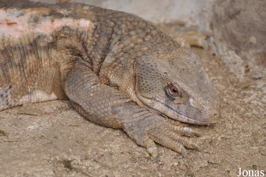 Odsherred Zoo