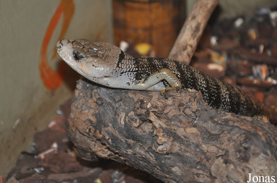 Odsherred Zoo