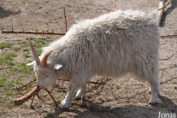 Odsherred Zoo